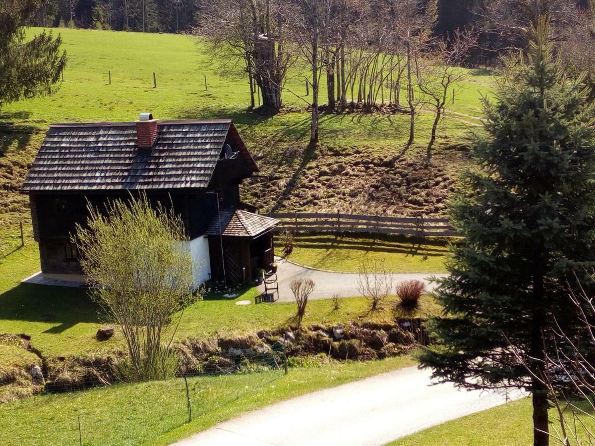 Ferienhaus "Badl" Vila Bad Goisern Exterior foto