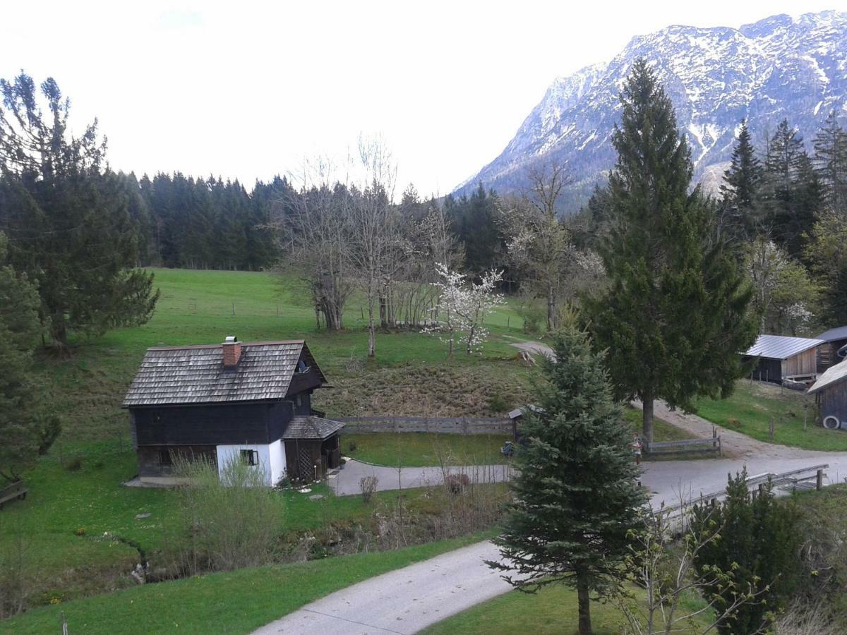 Ferienhaus "Badl" Vila Bad Goisern Exterior foto